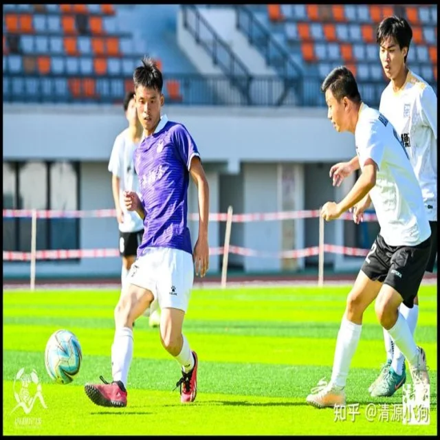 乒乓球冠军竞争格局与数据分析视角深度剖析